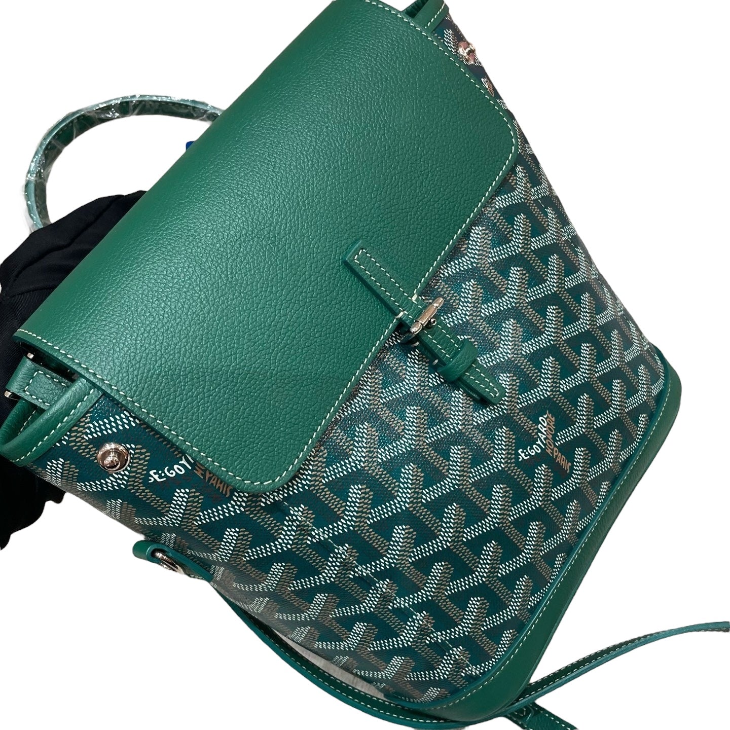 Goyard Green Alpin mini backpack