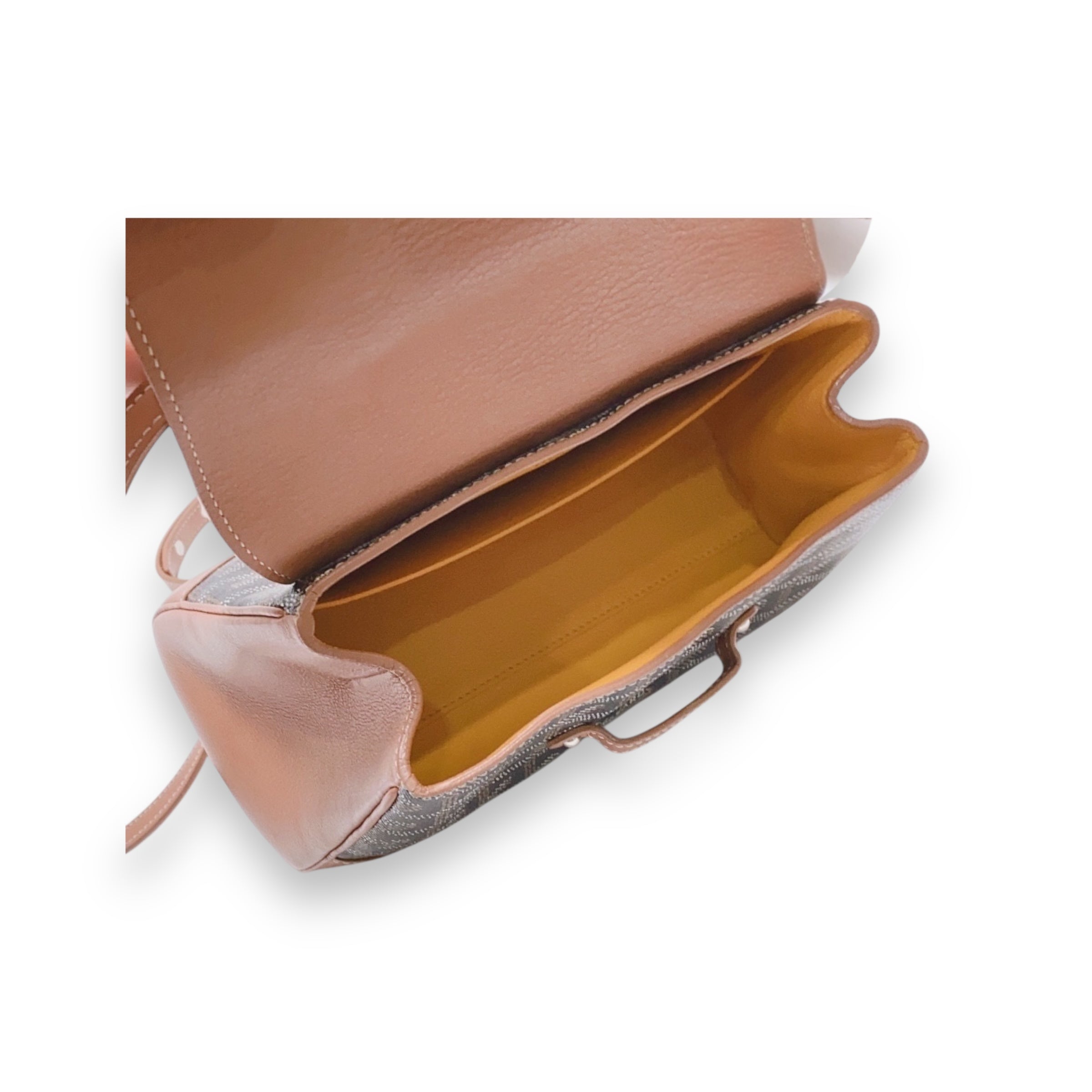 Goyard Saigon Mini brown purse