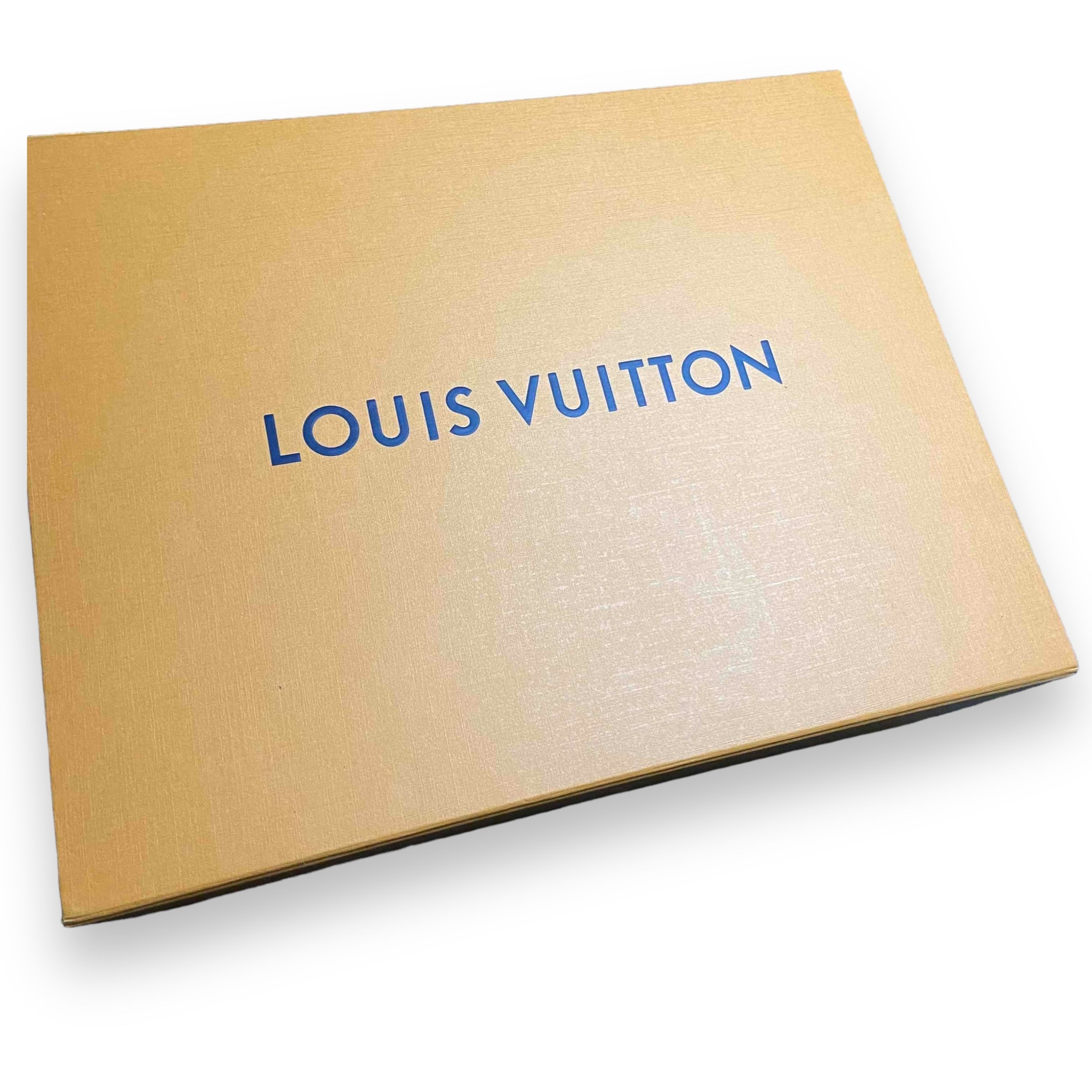 LV Skate Sneaker Navy