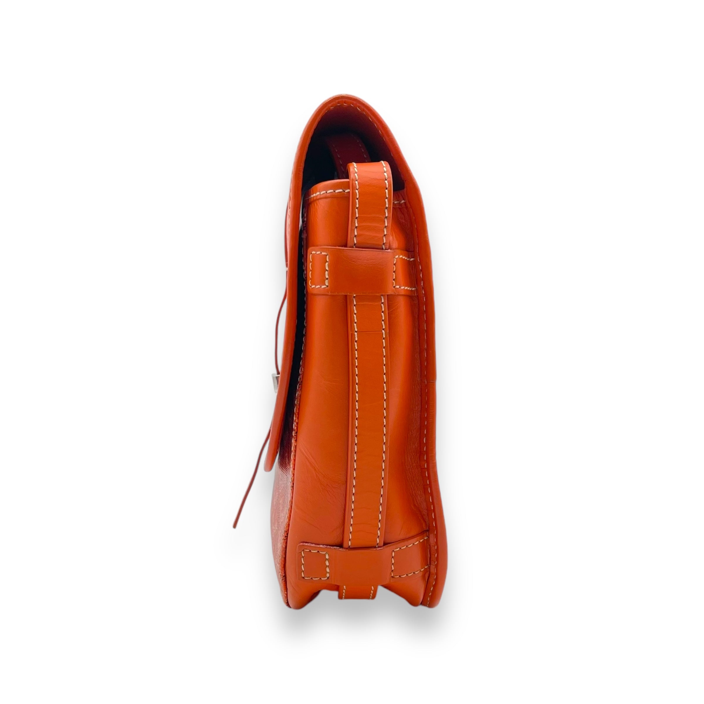 Goyard Belvedere MM Orange