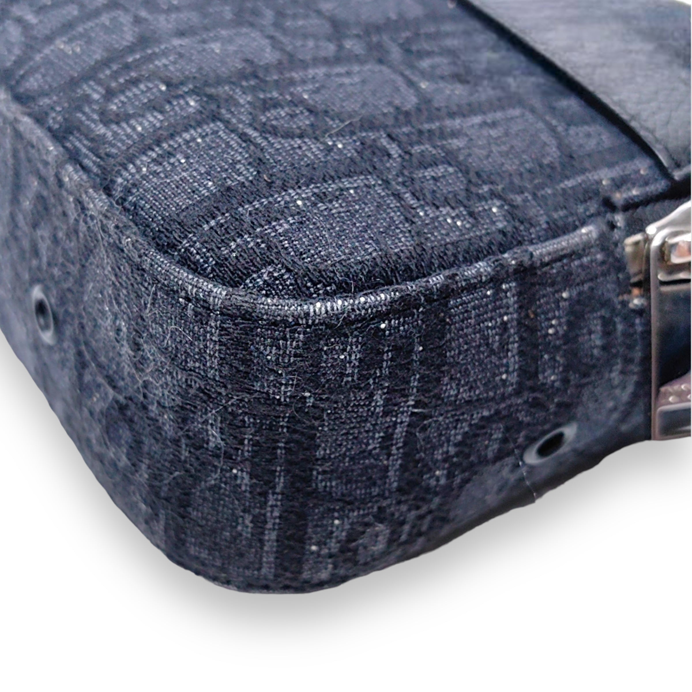 Dior Safari bag with Strap