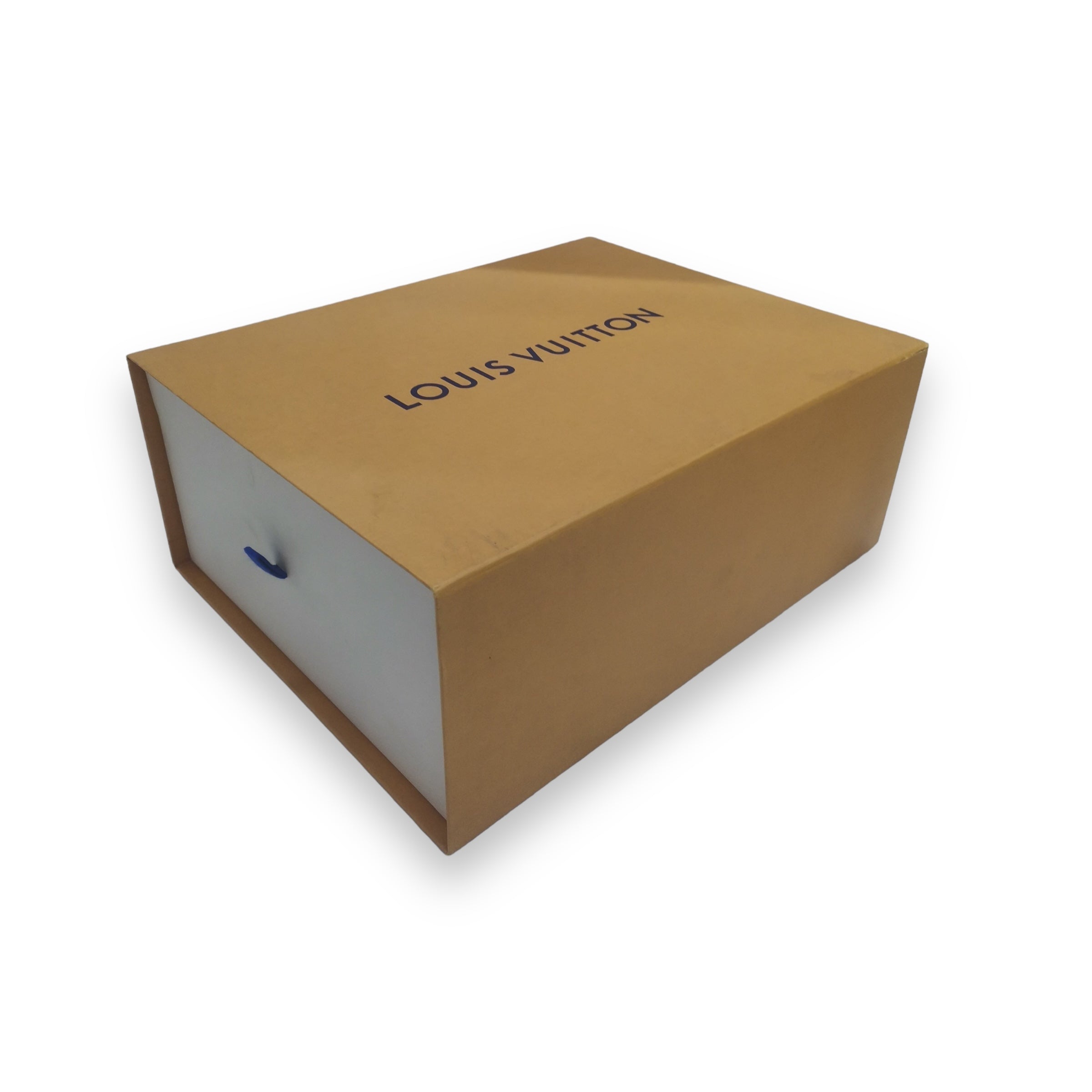 LV Trainer Blue White