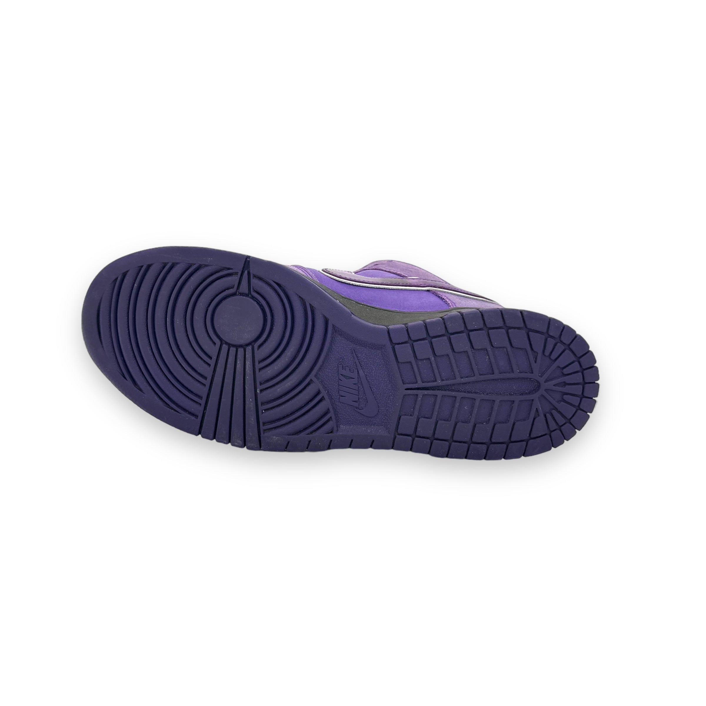 Nike SB Dunk Purple Lobster