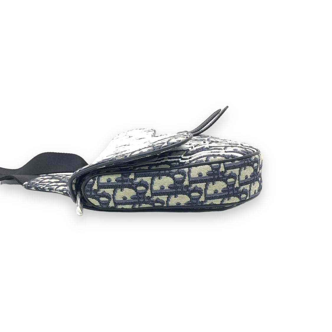 DIOR x RAYMOND PETTIBON SADDLE BAG